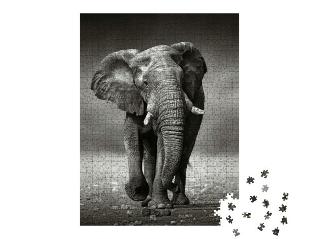 African Elephant Loxodonta Africana Approach from the Fro... Jigsaw Puzzle with 1000 pieces