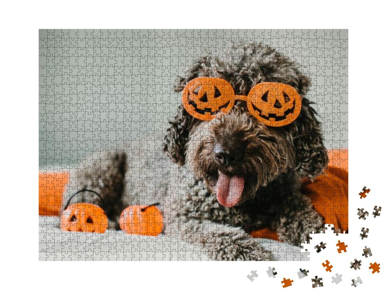 Sweet & Friendly Brown Spanish Water Dog Playing in the B... Jigsaw Puzzle with 1000 pieces