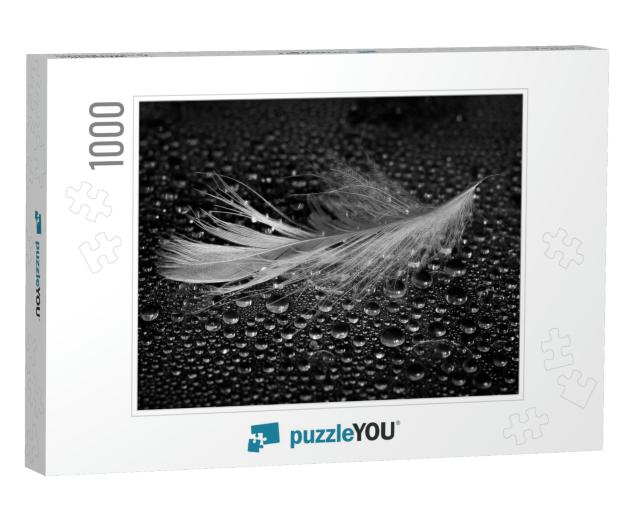 Feather Lying on Drops of Water on a Dark Background. Bla... Jigsaw Puzzle with 1000 pieces
