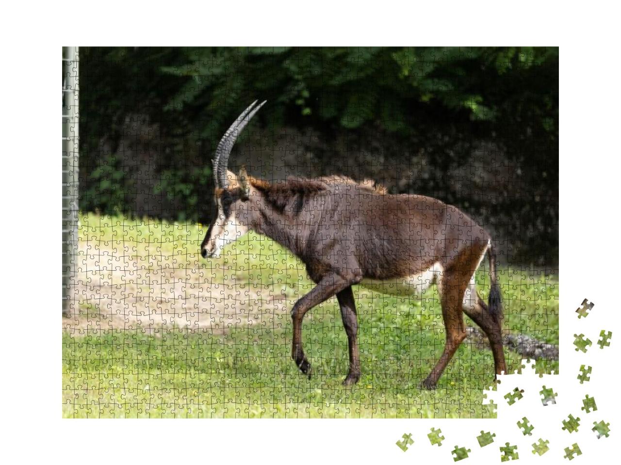 Amazing Capricorn is Walking Through the Nature & Enjoys... Jigsaw Puzzle with 1000 pieces