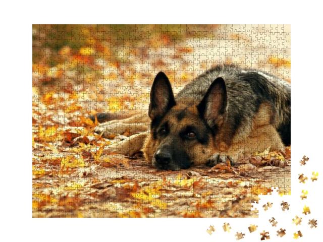 Dog, German Shepherd Lies in the Autumn Wood Against Beau... Jigsaw Puzzle with 1000 pieces