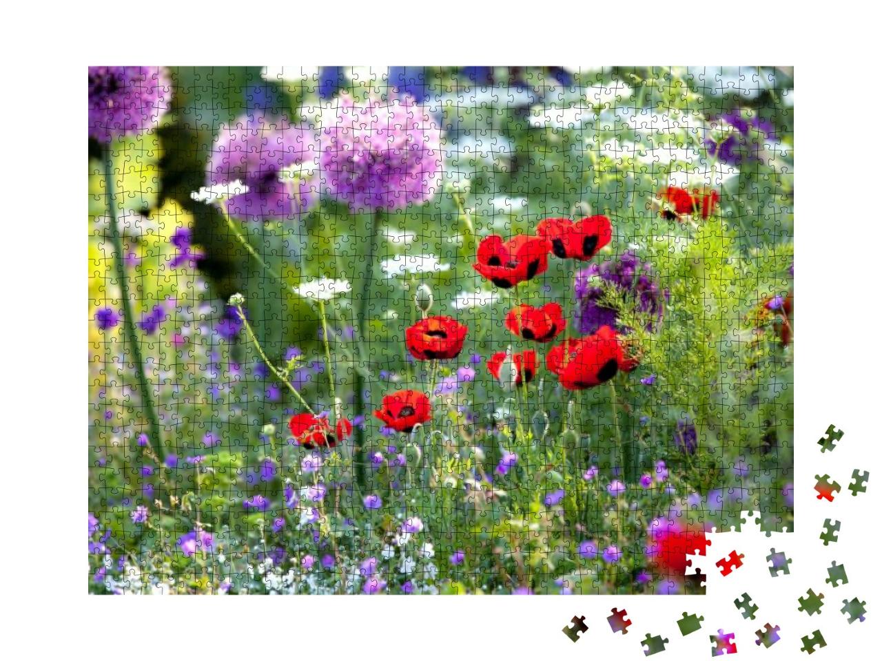 Wild Flower Garden with Poppies with Morning Sunlight... Jigsaw Puzzle with 1000 pieces