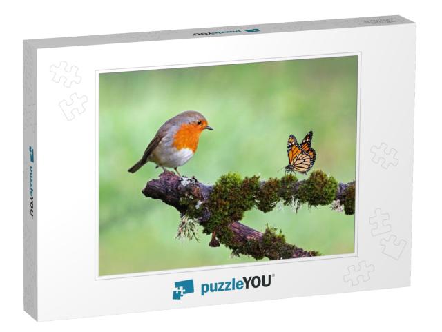 Beautiful Background Image of a Wild Robin Erithacus Rube... Jigsaw Puzzle