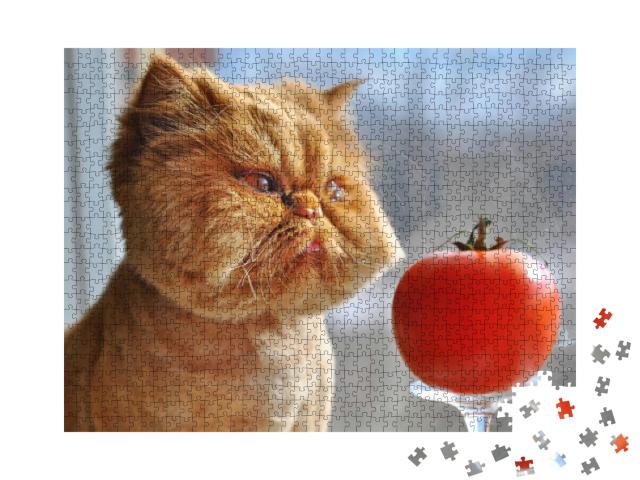 Funny Cat & Red Tomato... Jigsaw Puzzle with 1000 pieces