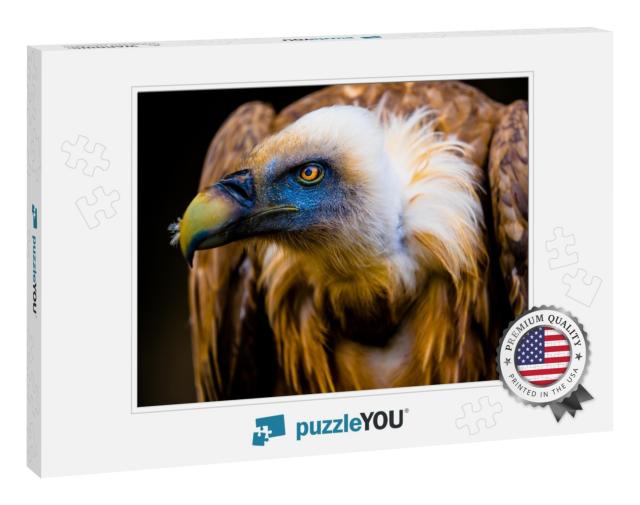 Portrait of a Young Vulture... Jigsaw Puzzle