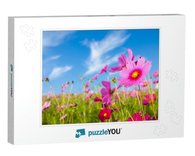 A Cosmos Flower Face to Sunrise in Field... Jigsaw Puzzle