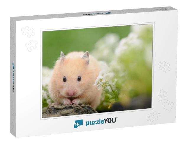 Golden Hamster in Flower Garden... Jigsaw Puzzle