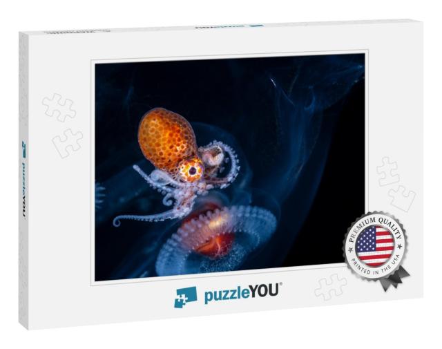 Larval Female Nautilus Octopus in a Salp for Protection... Jigsaw Puzzle