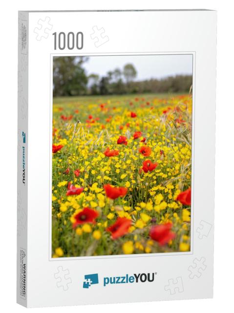 Spring Flower Meadow with Poppy & Yellow Flowers... Jigsaw Puzzle with 1000 pieces