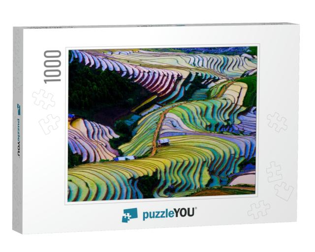 Terraced Rice Field in Vietnam... Jigsaw Puzzle with 1000 pieces