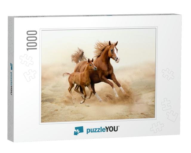 Purebred White Arabian Horse in Desert... Jigsaw Puzzle with 1000 pieces