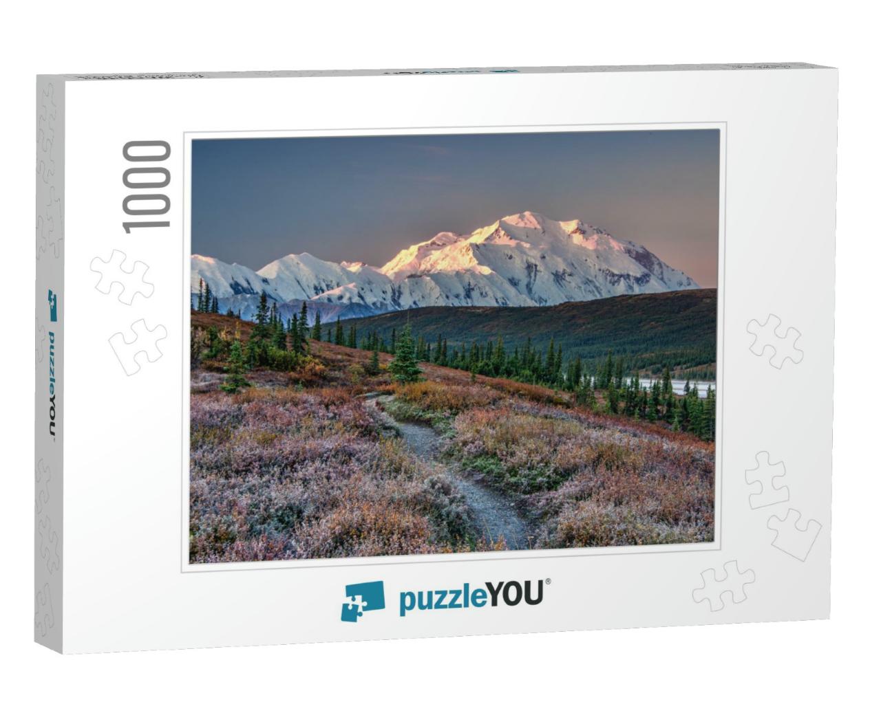 Alaska's Mount Denali Looms Over Wonder Lake, with Clear... Jigsaw Puzzle with 1000 pieces