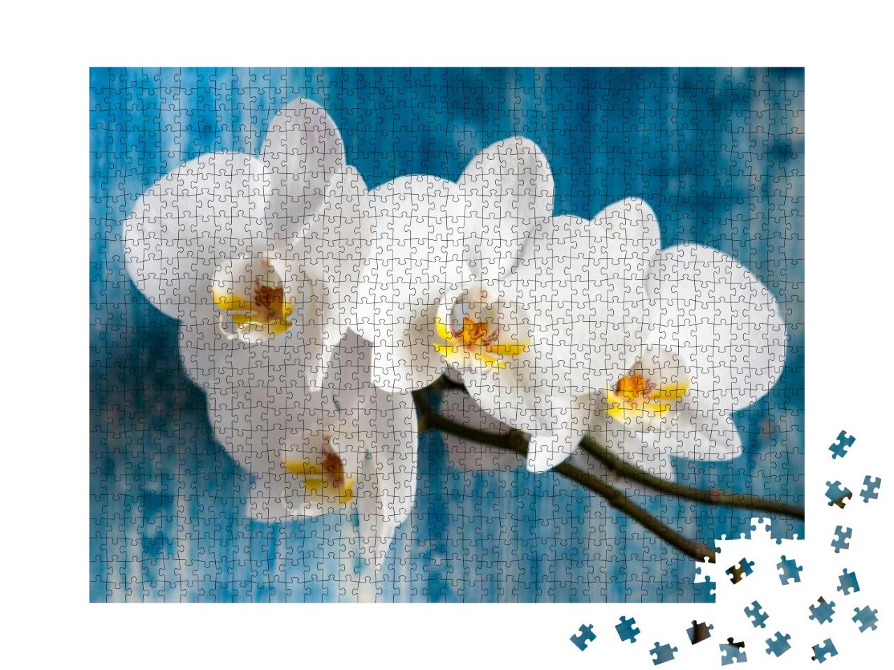 White Orchid Flower on Blue Wooden Background... Jigsaw Puzzle with 1000 pieces