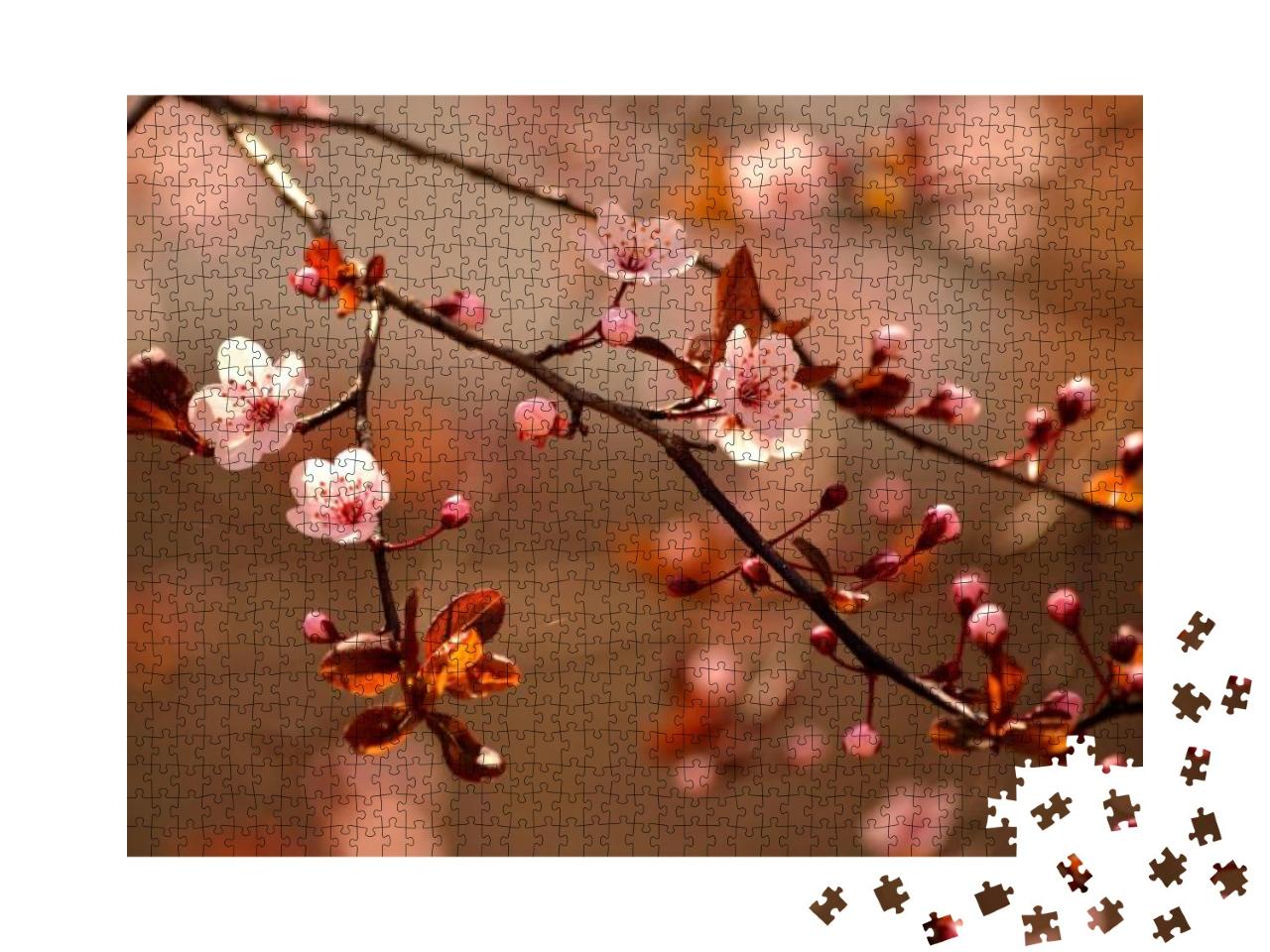 Beautiful Flowering Japanese Cherry - Sakura. Background... Jigsaw Puzzle with 1000 pieces