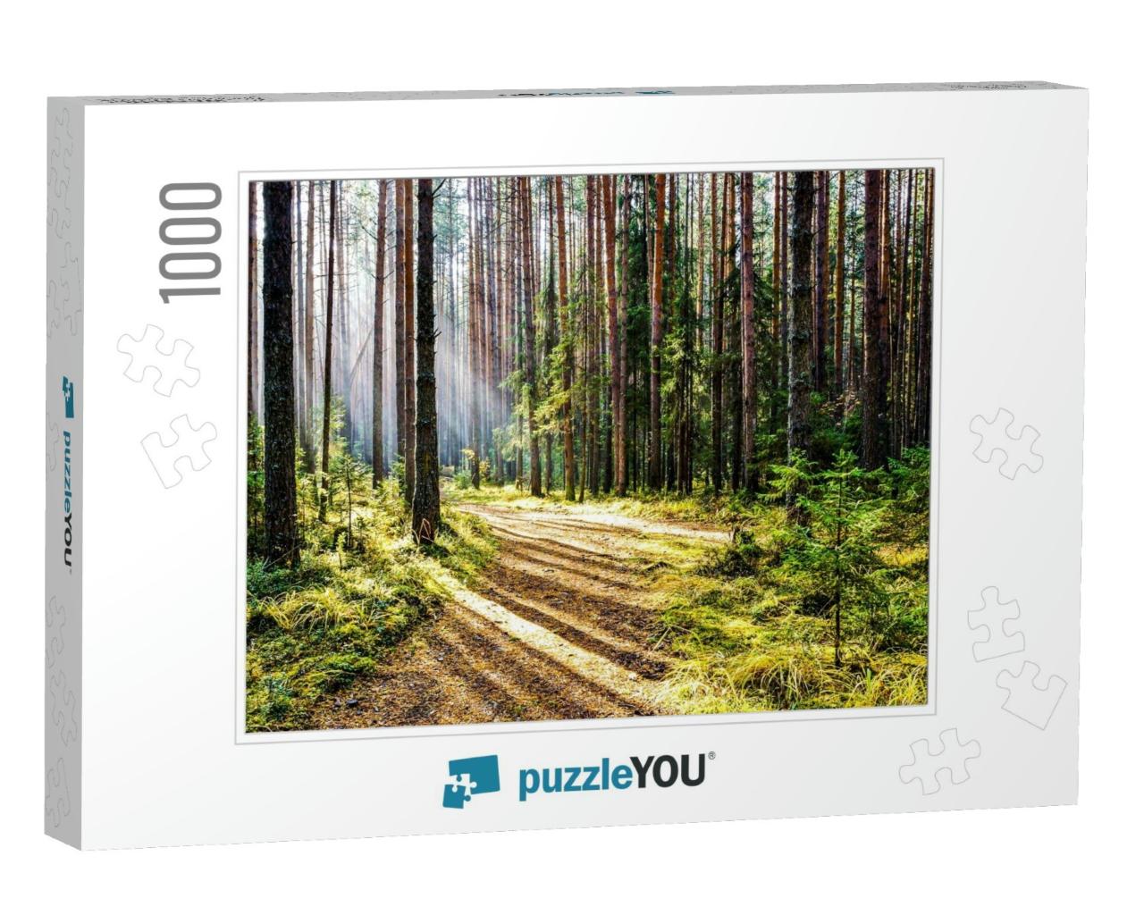 Forest Trail in Deep Woodland with Sunlight Shadow... Jigsaw Puzzle with 1000 pieces