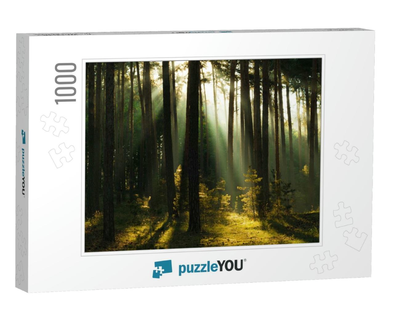 Sunrays in a Forest in the Harz Mountains of Germany... Jigsaw Puzzle with 1000 pieces