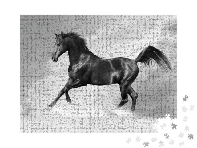 Black Arab Horse in Winter in Monochrome Tone... Jigsaw Puzzle with 1000 pieces