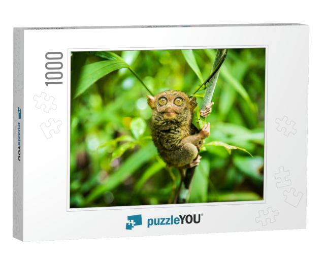 The Philippine Tarsier Carlito Syrichta is a Species of T... Jigsaw Puzzle with 1000 pieces