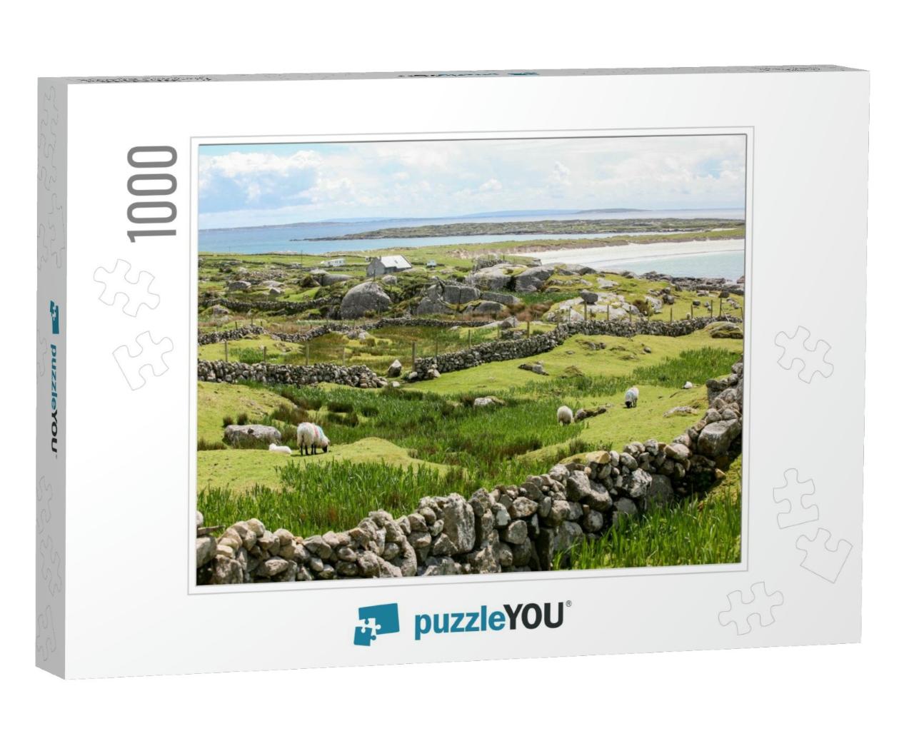 Three Sheep Grazing on the Coast of Ireland on a Cloudy A... Jigsaw Puzzle with 1000 pieces