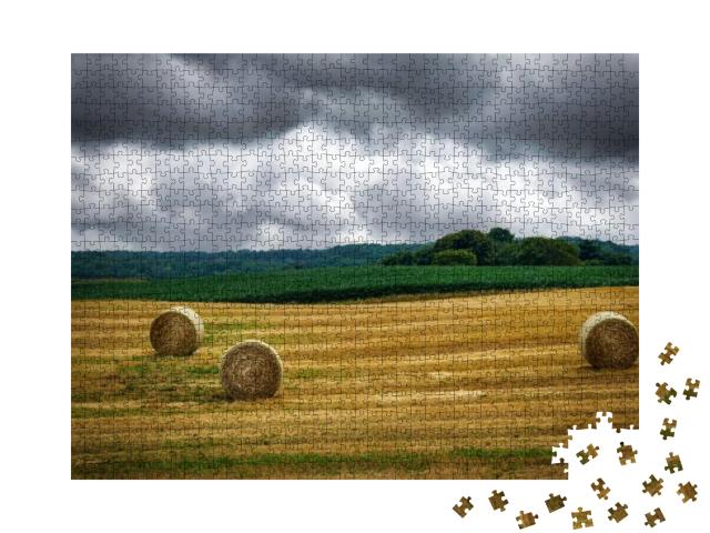 Rolled Hay Sitting on a Farm Near Manitowoc, Wi... Jigsaw Puzzle with 1000 pieces