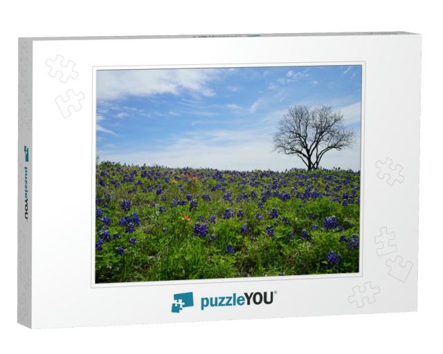 Patch of Bluebonnet Wildflowers with Green Country Backgr... Jigsaw Puzzle