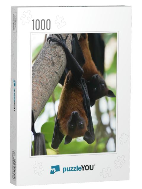 Two Bats Indian Flying Fox Hanging At a Tree in a Forest... Jigsaw Puzzle with 1000 pieces