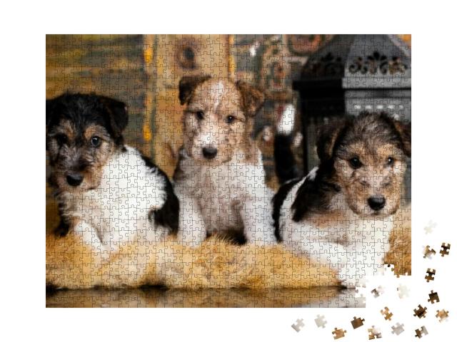 Fox Terrier Puppy on a Yellow-Gold Background... Jigsaw Puzzle with 1000 pieces