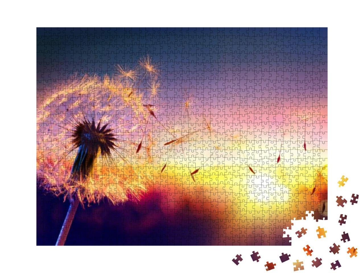 Dandelion to Sunset - Freedom to Wish... Jigsaw Puzzle with 1000 pieces